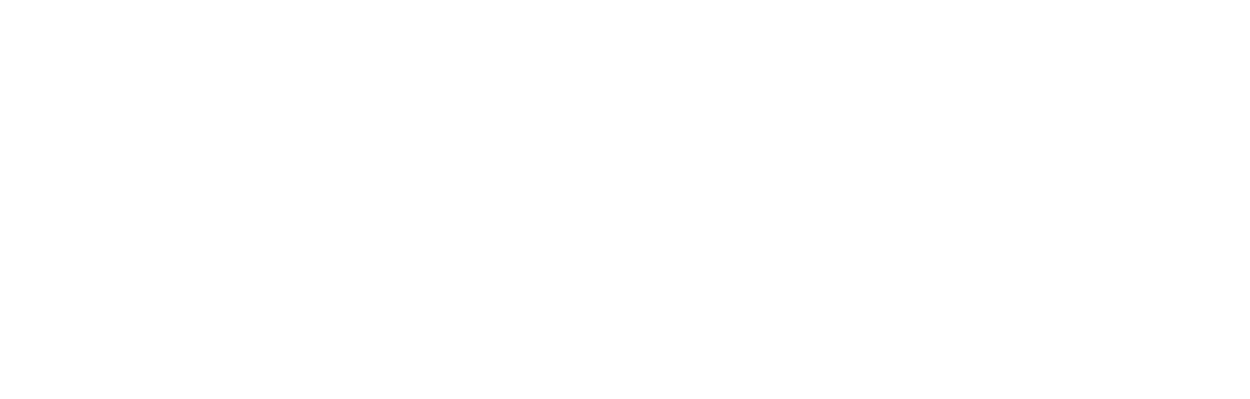 Logo Pegasus